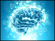 Scientific Brain