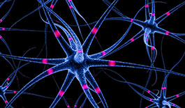 Neurons Firing